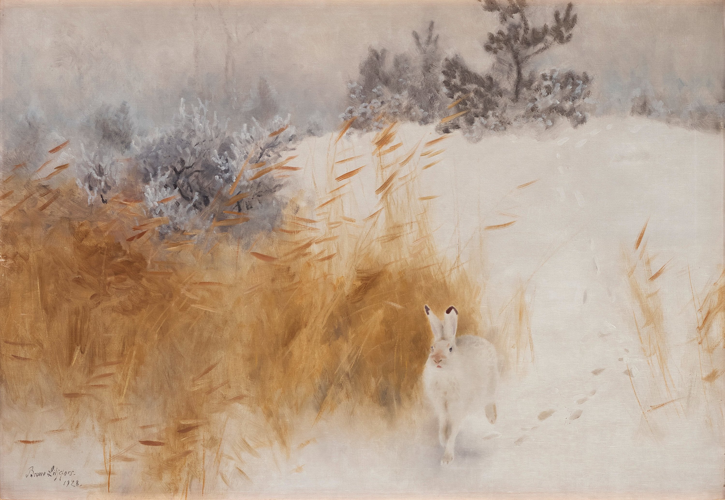 Lièvre d'hiver - Bruno Liljefors