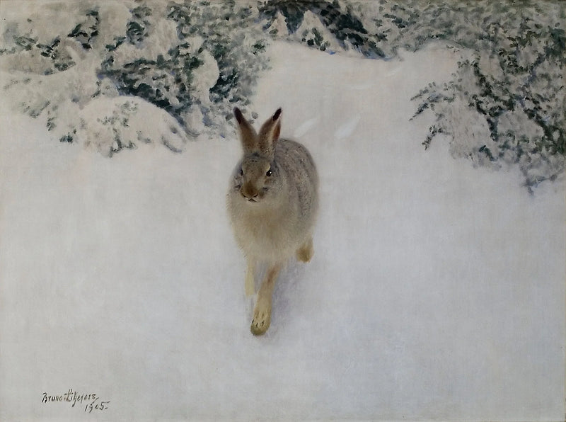 Lièvre en hiver - Bruno Liljefors