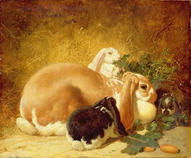 Lièvres belges - John Frederick Herring, Sr. image 1 copie peinte à la main à l’huile