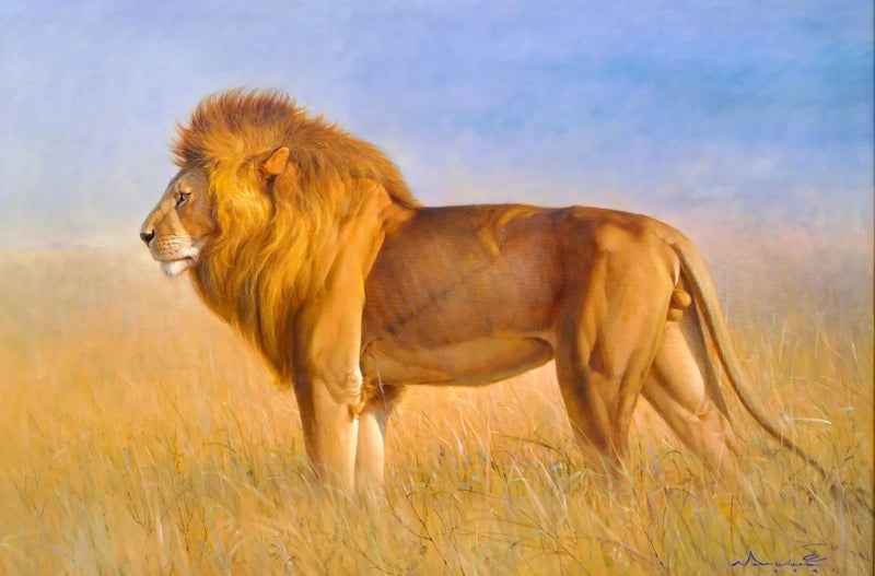 أسد في السافانا | 150 × 100 سم