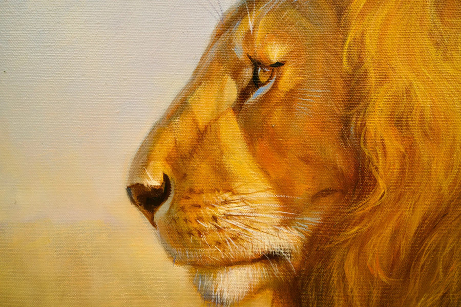 أسد في السافانا | 150 × 100 سم