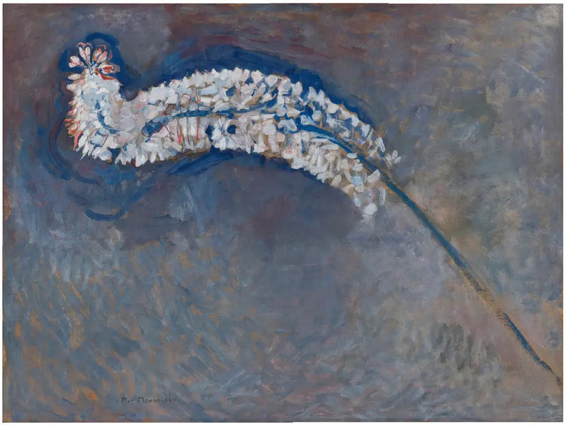 قائمة ذيل الثعلب - بيت موندريان