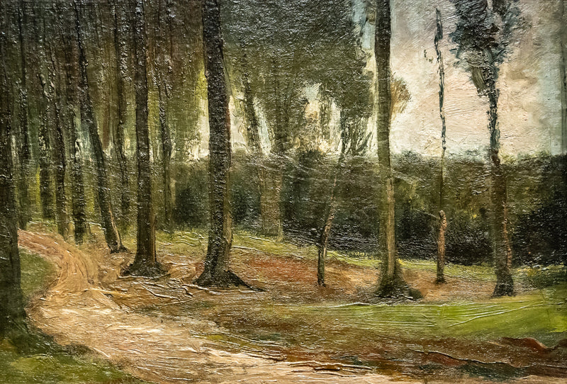 حدود غابة - فنسنت فان غوخ