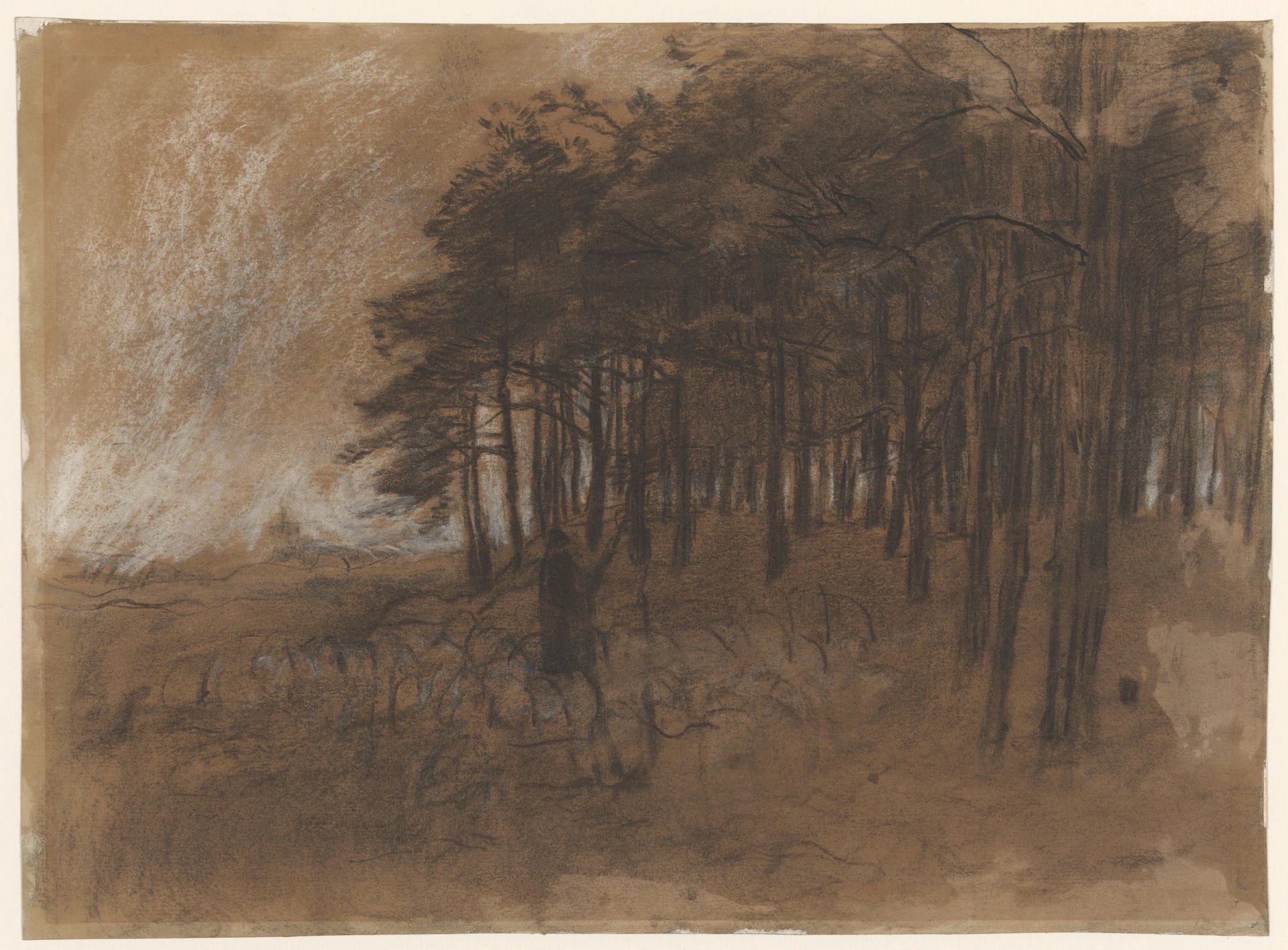 Lisière de la forêt - Anton Mauve