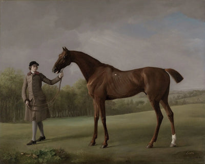 Lustre tenu par un palefrenier - George Stubbs - Alpha Reproduction
