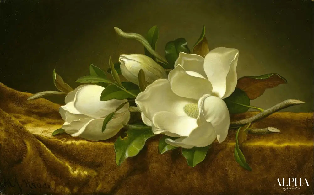 Magnolias sur tissu de velours doré - Martin Johnson Heade - Reproductions de tableaux et peintures haut de gamme