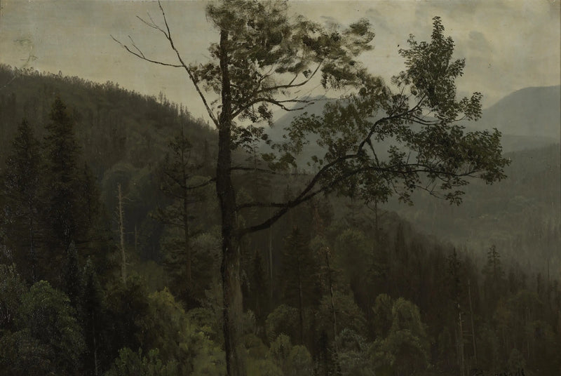 جبال مغطاة بالأشجار - ألبرت بيشتادت