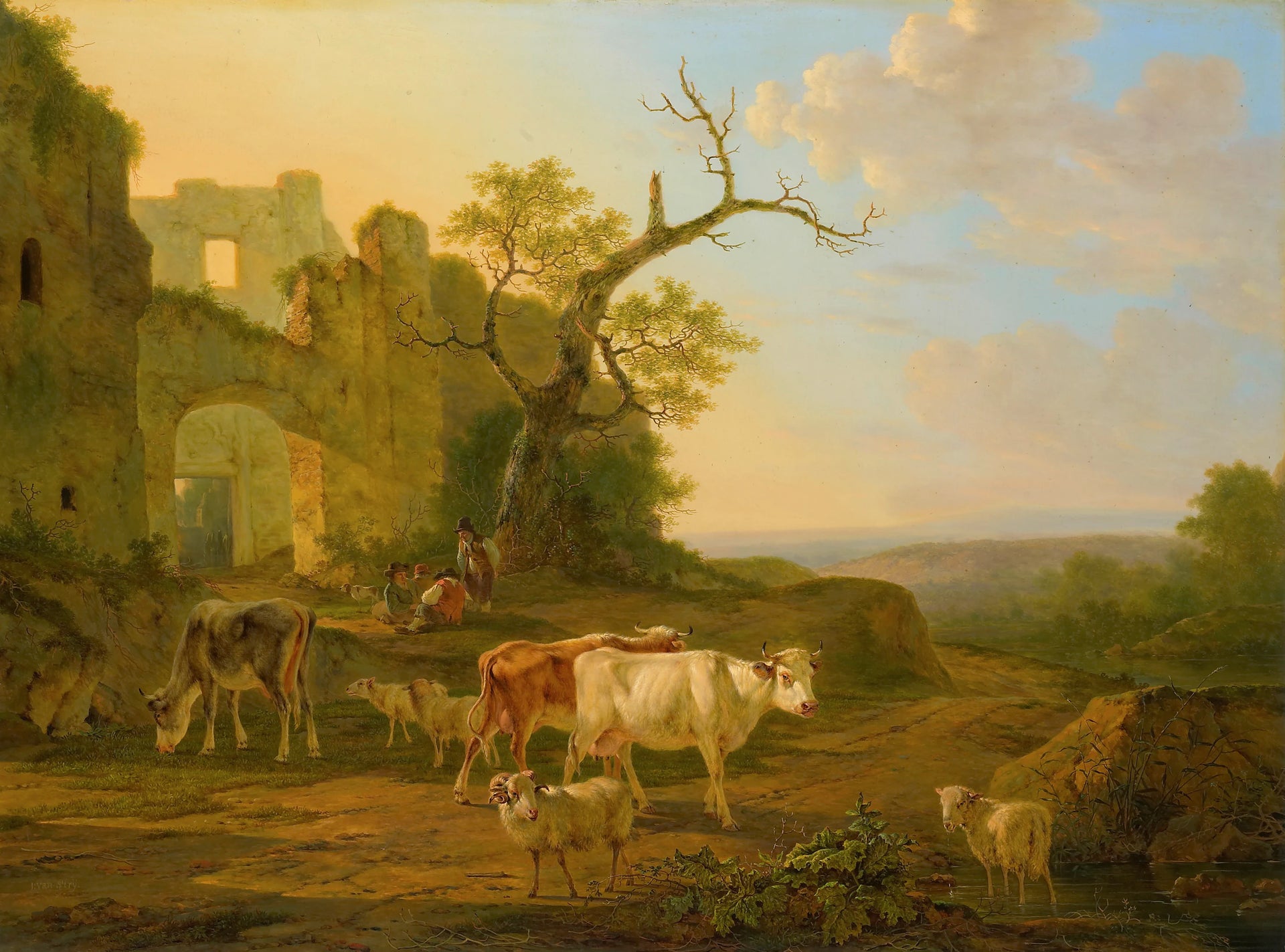Moutons sur la bruyère - Jan Bedijs Tom