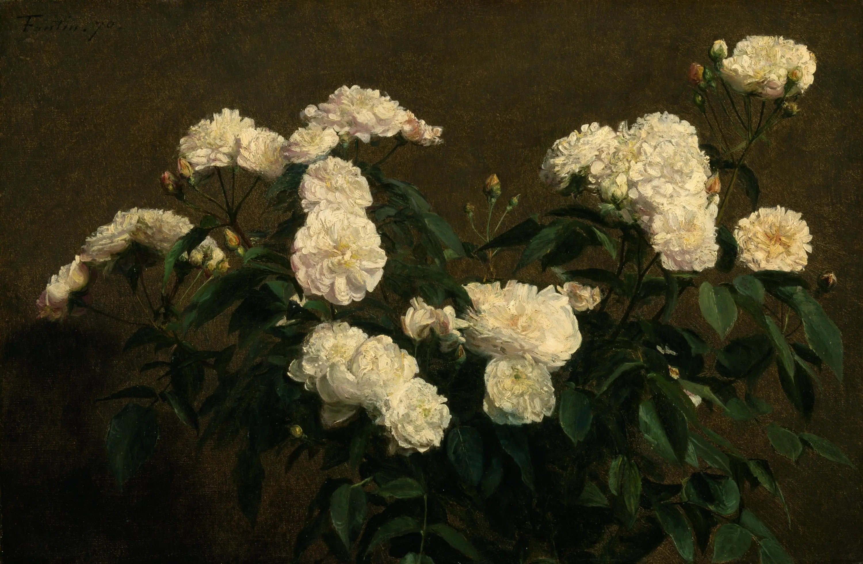 Nature morte aux roses blanches - Henri Fantin-Latour - Alpha Reproduction