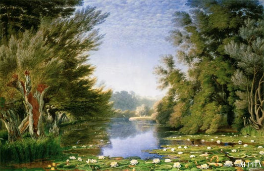 Nénuphars sur la Cherwell - William Turner - Reproductions de tableaux et peintures haut de gamme