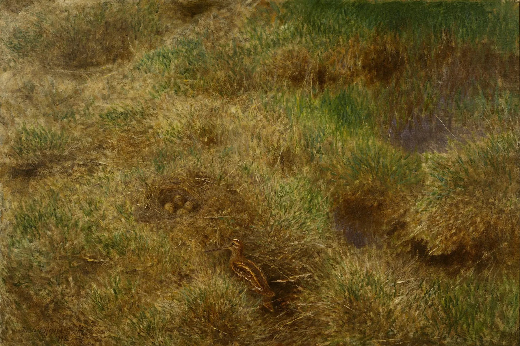 Nid de bécassine - Bruno Liljefors image 1 tableau peint à l’huile sur toile