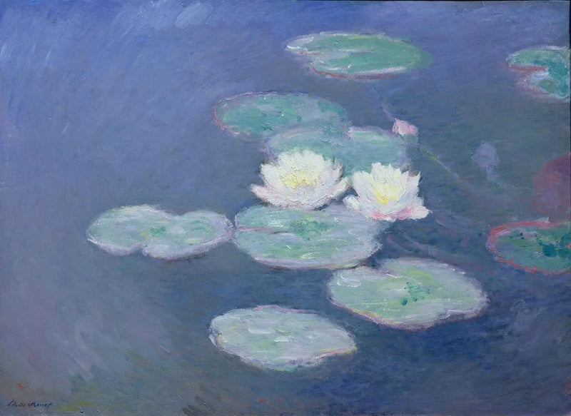 زنابق الماء، تأثير المساء - كلود مونيه