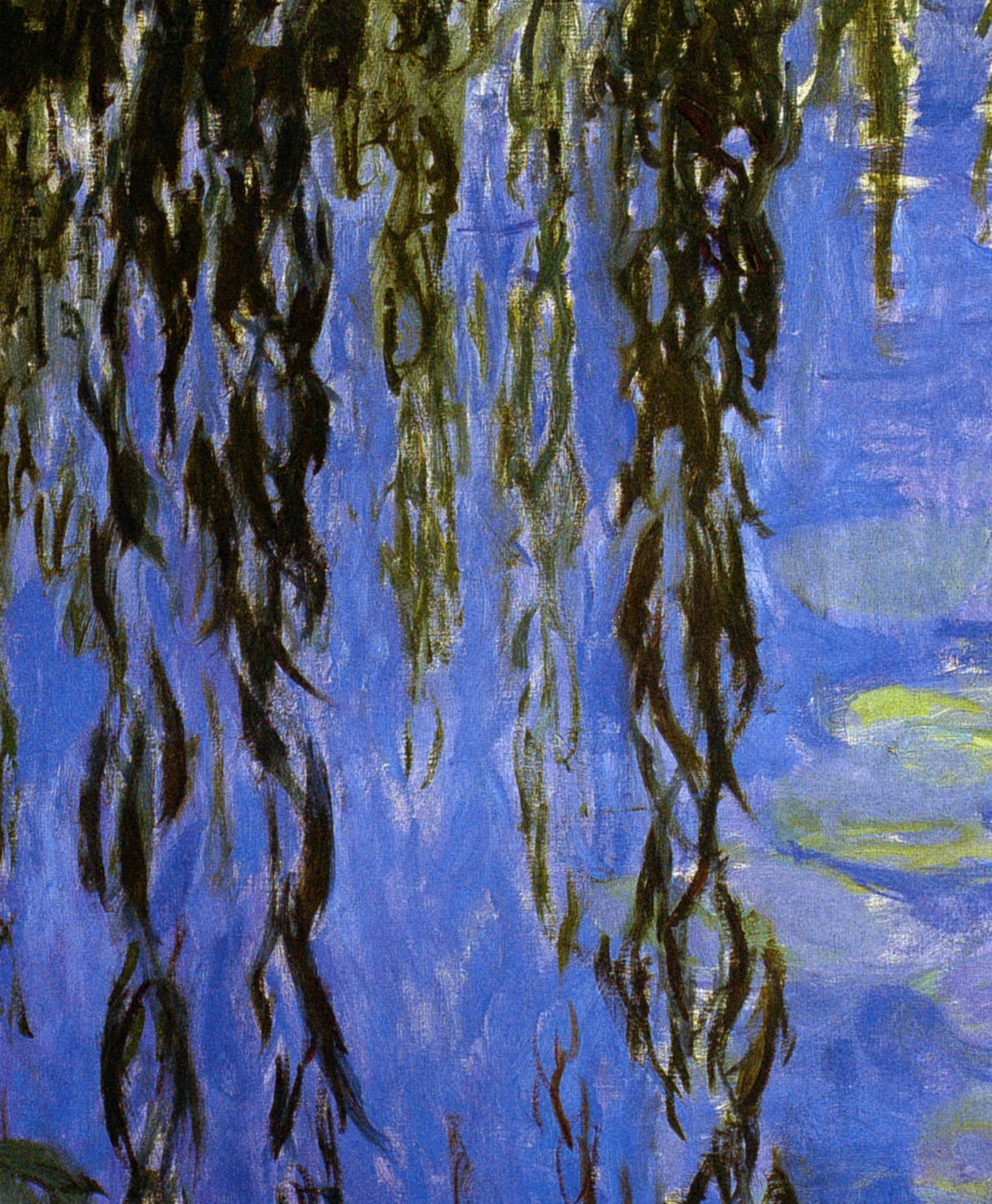 Détail de l’eau bleue, des rameaux et des feuilles vertes dans les Nymphéas avec saule W1851