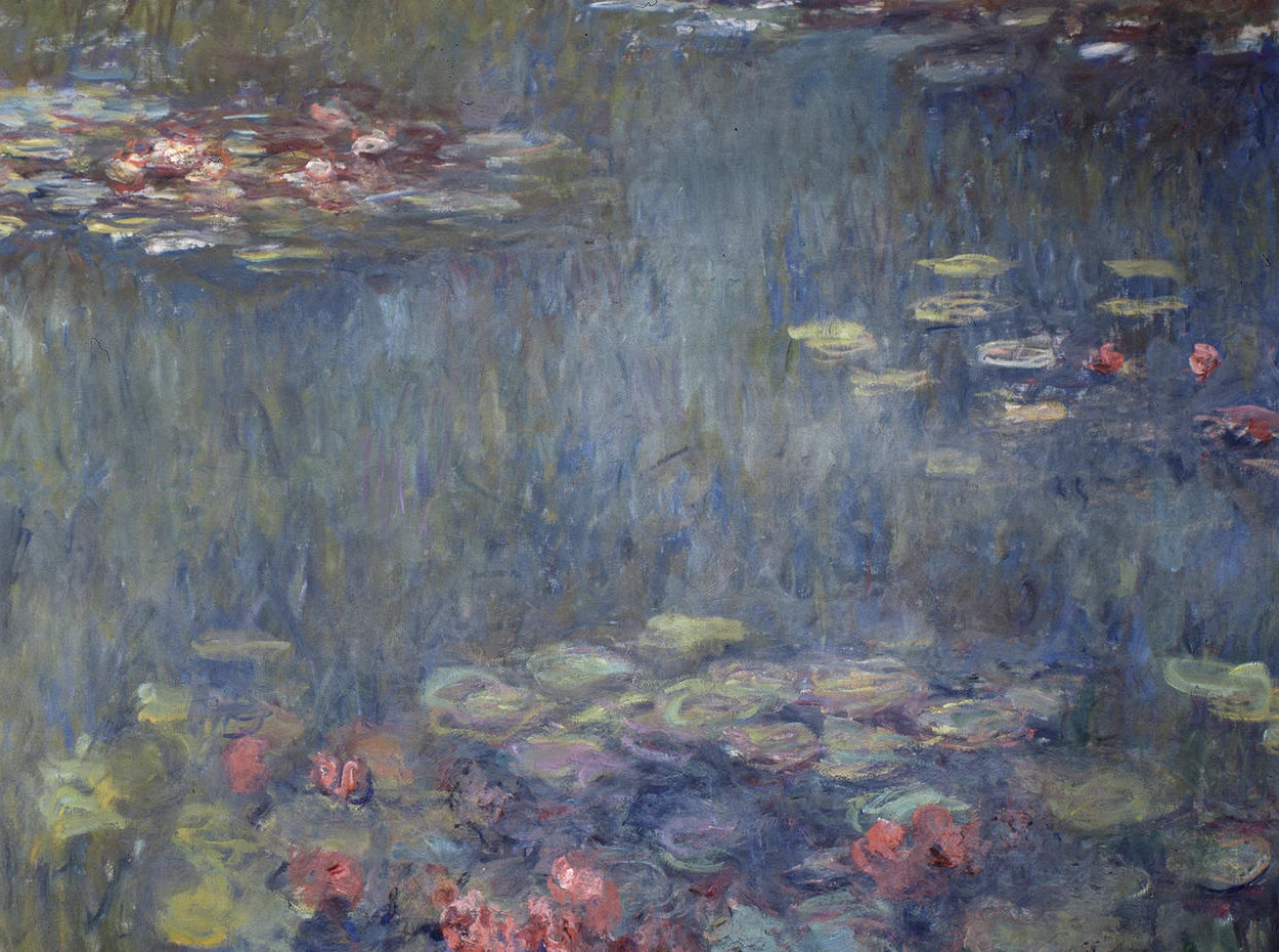 Détail des reflets verts et des fleurs roses dans la moitié droite du Bassin aux nymphéas