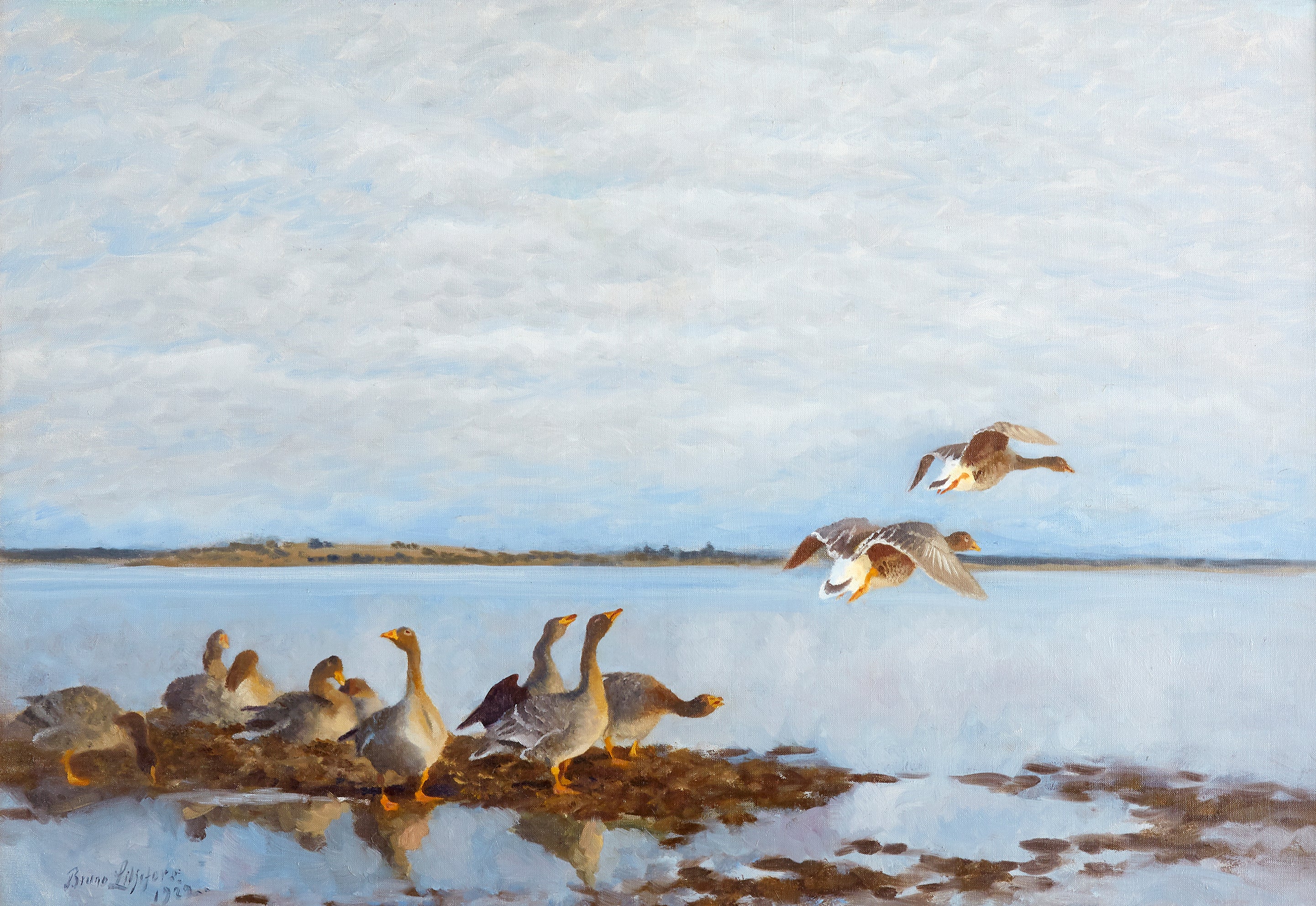 Oies - Bruno Liljefors