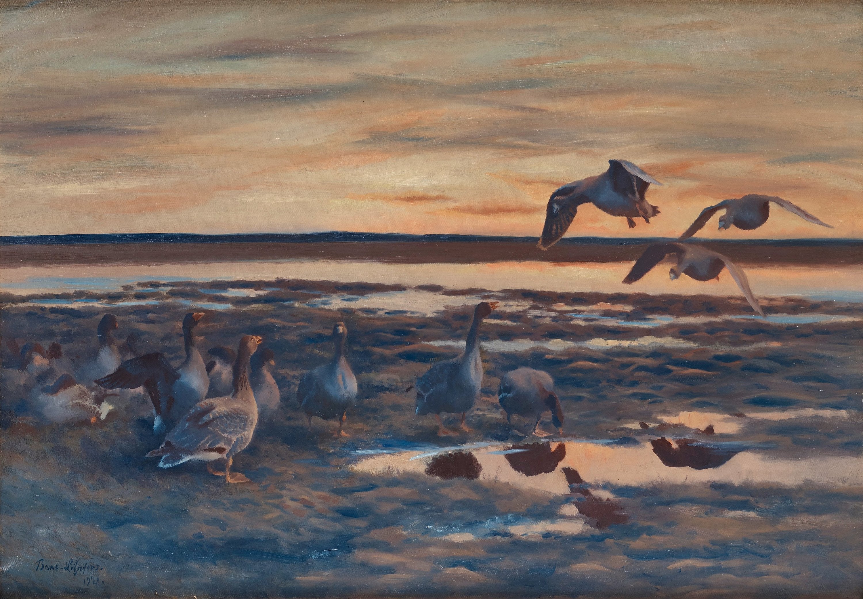 Oies des haricots - Bruno Liljefors