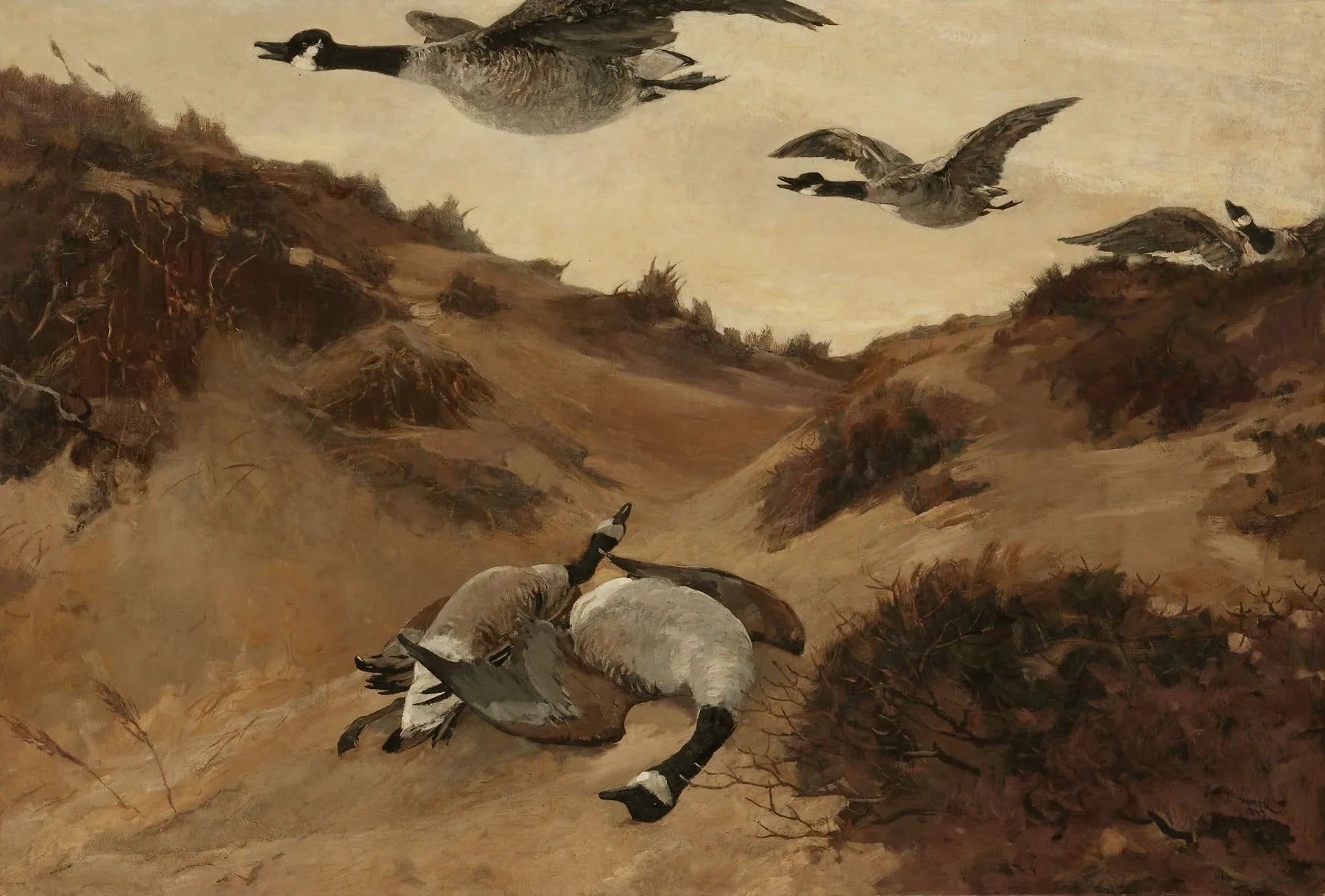 Oies sauvages en vol - Winslow Homer image 1 reproduction d’œuvre d’art à l’huile