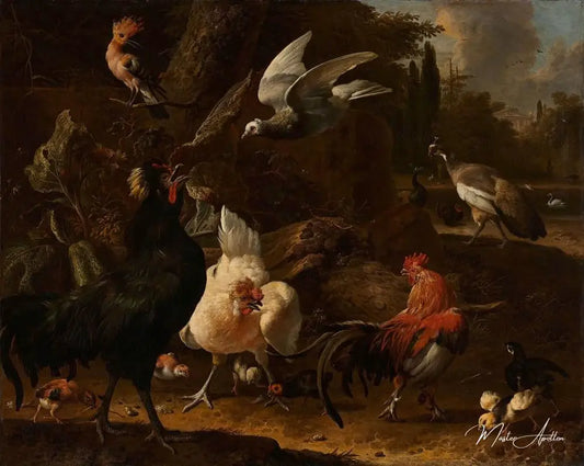 Oiseaux dans un parc - Melchior d'Hondecoeter - Reproductions de tableaux et peintures haut de gamme