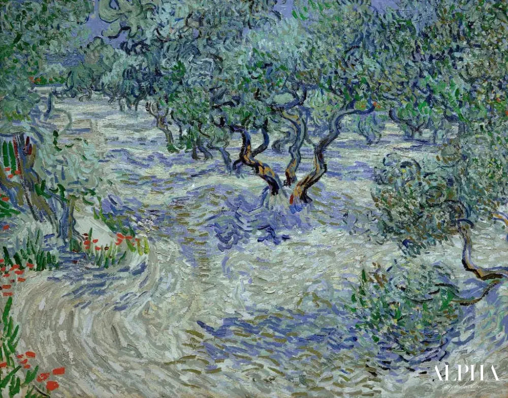 Olivenhain - Van Gogh - Reproductions de tableaux et peintures haut de gamme