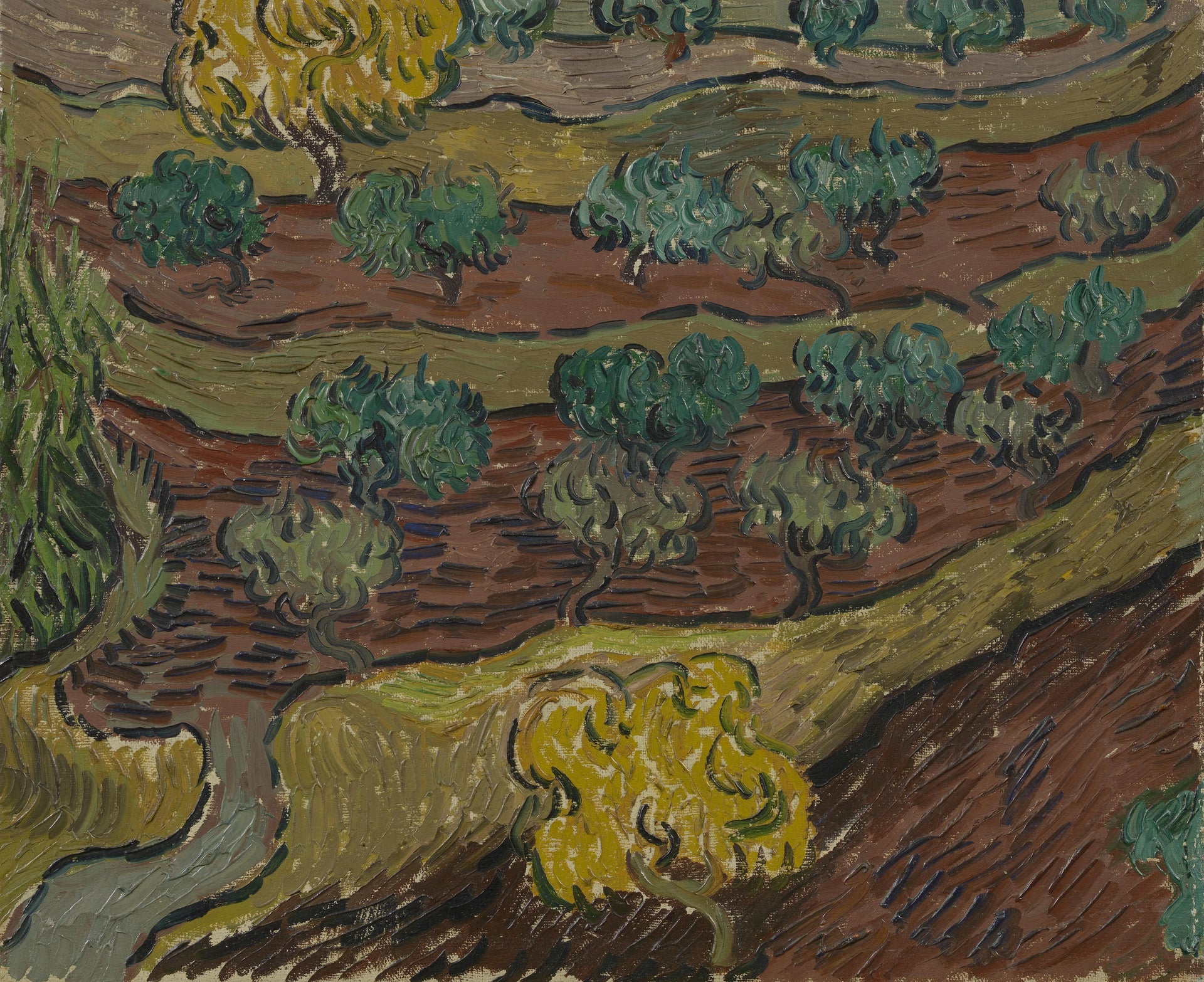 Oliviers sur une colline F716 de Vincent van Gogh, Van Gogh Museum