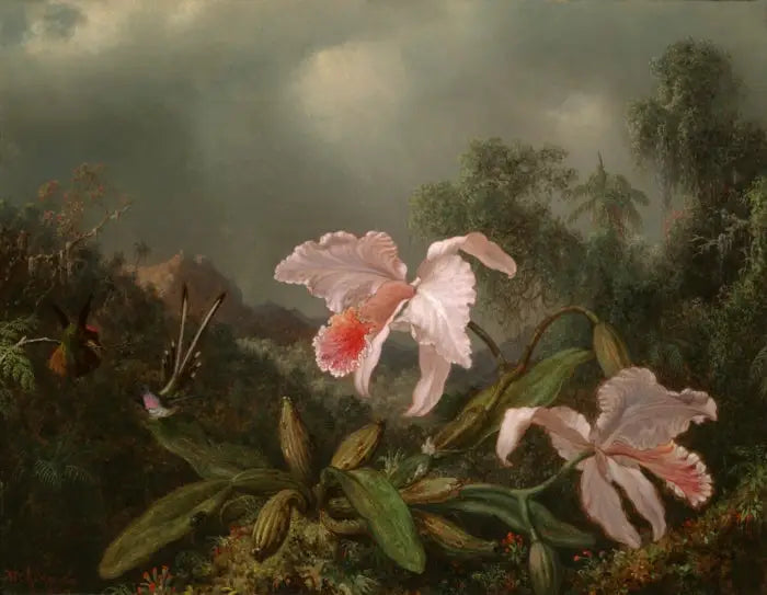 Orchidées de la jungle et colibris - Martin Johnson Heade - Alpha Reproduction