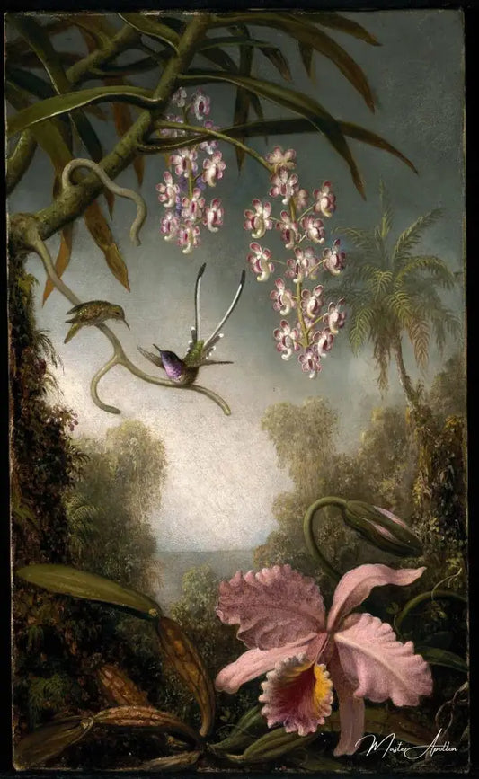 Orchidées et Spray Orchids avec Colibri - Martin Johnson Heade - Reproductions de tableaux et peintures haut de gamme