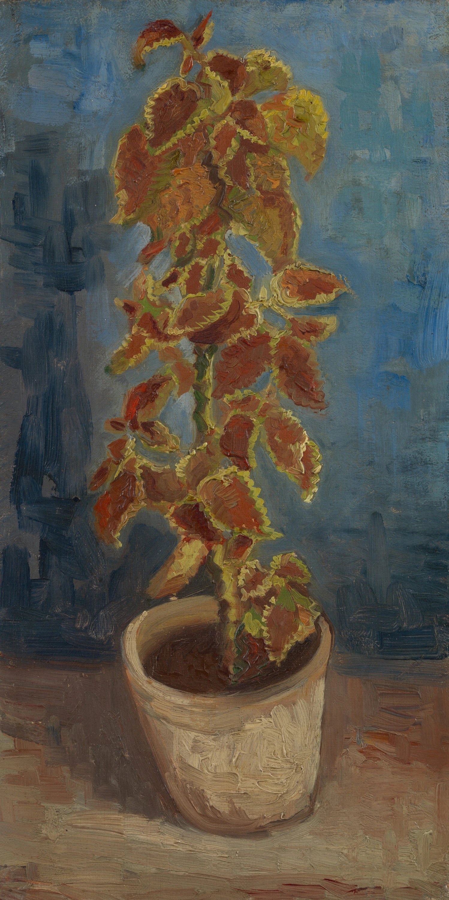 Ortie flamboyante en pot F281 — Vincent van Gogh
