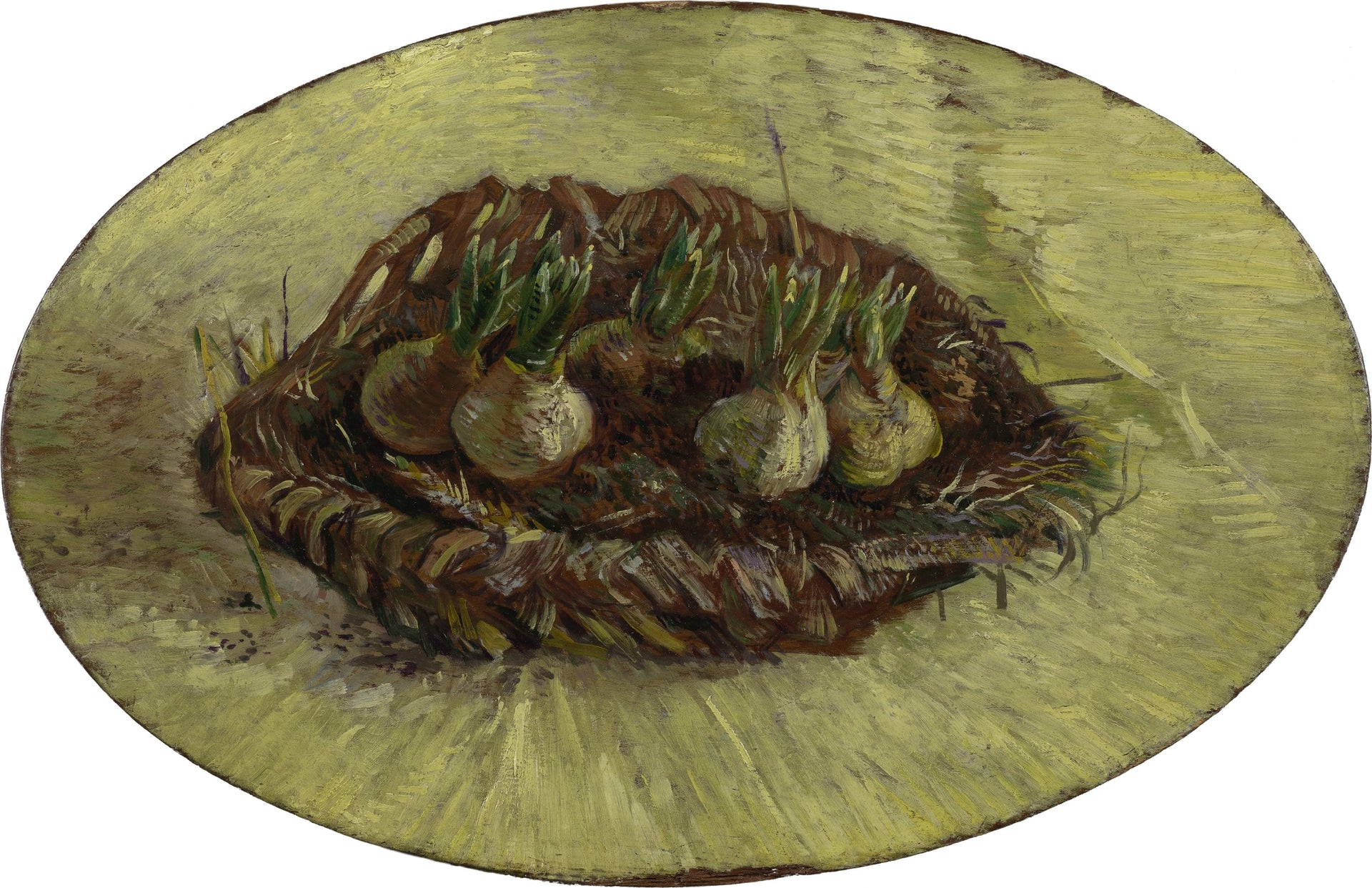 Panier de bulbes de jacinthes F336 — bulbes germés dans une corbeille ovale peinte par Vincent van Gogh