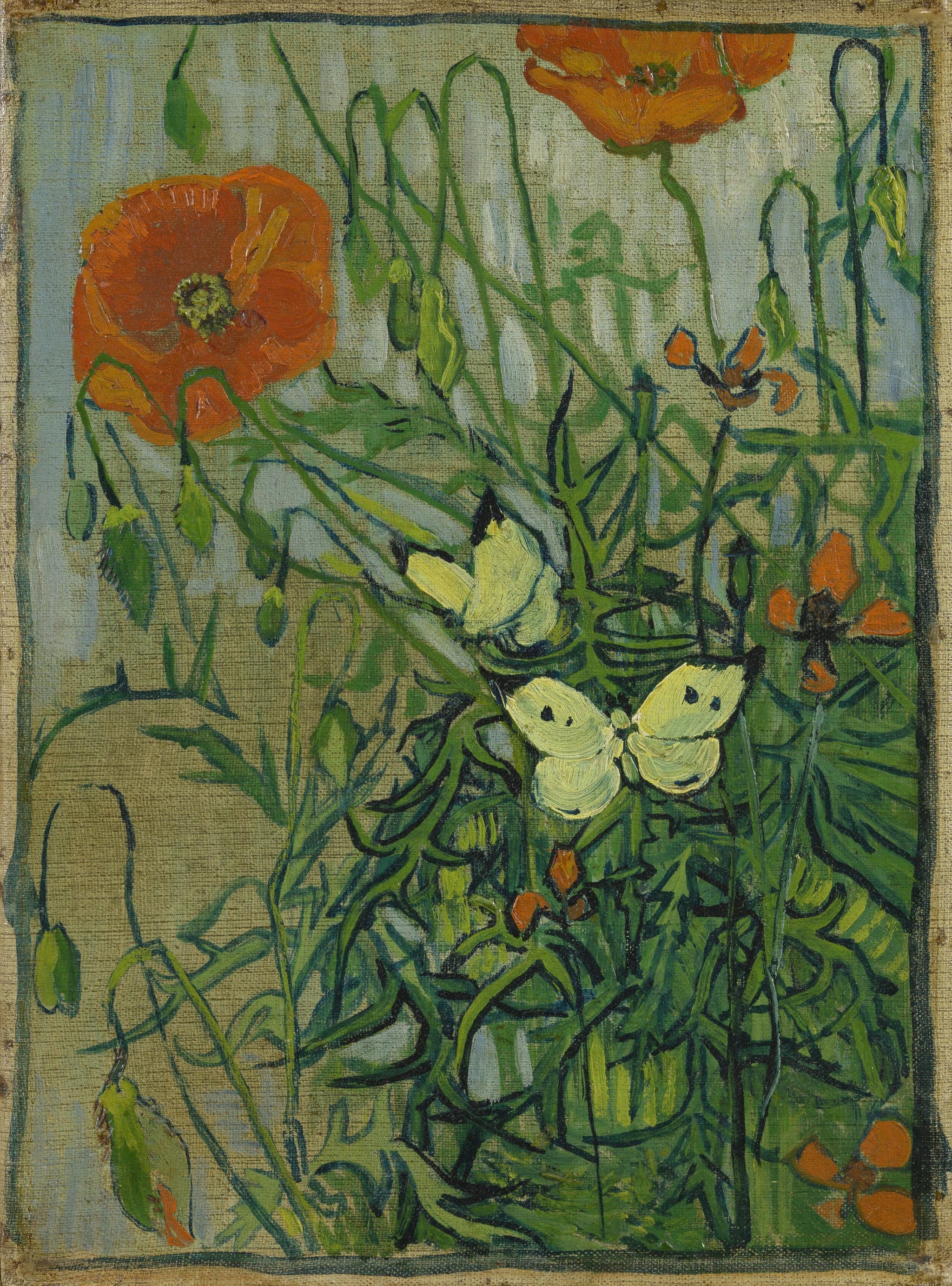 Papillons et coquelicots F748 de Vincent van Gogh, Van Gogh Museum