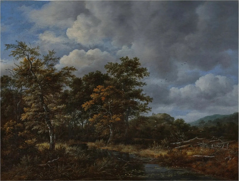 Paysage boisé avec ruisseau et bouquet d’arbres - Jacob van Ruisdael