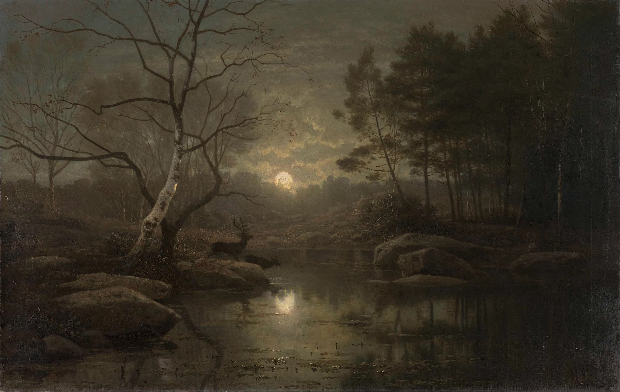 Paysage forestier au clair de lune - Georg Eduard Otto Saal