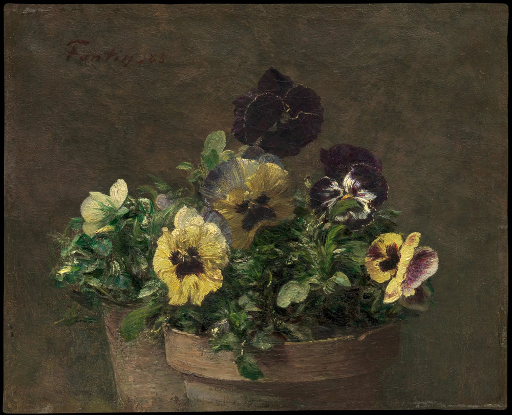 Pensées en pot - Henri Fantin-Latour - Alpha Reproduction