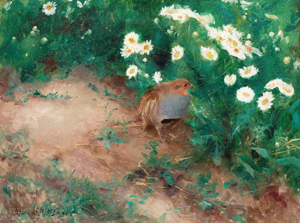 Perdrix grise avec des marguerites des champs - Bruno Liljefors