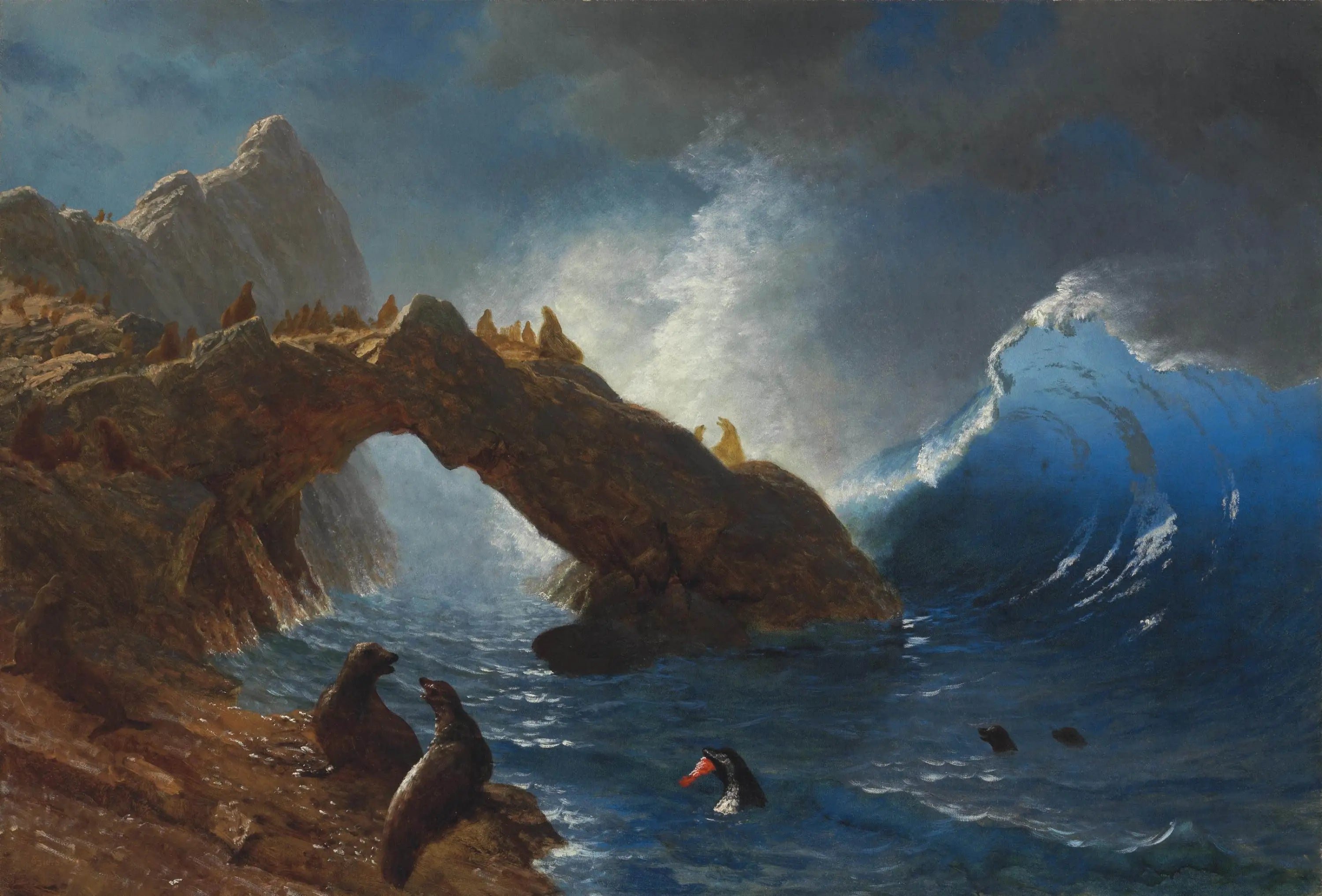 Phoques sur les rochers - Albert Bierstadt - Alpha Reproduction