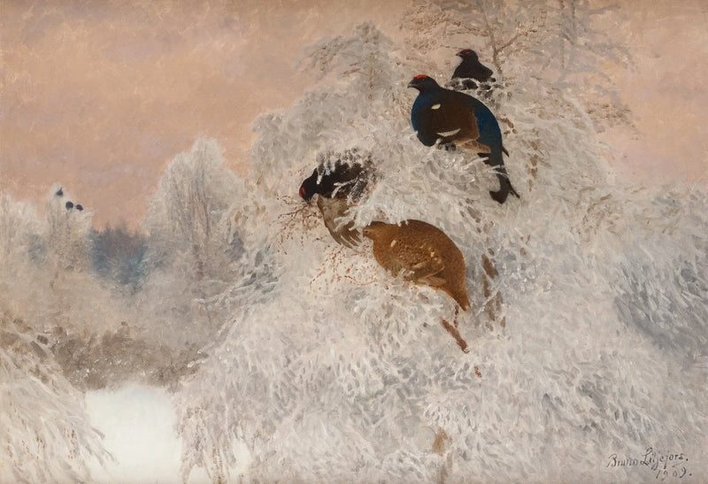 Photo d'hiver avec des tétras lyres - Bruno Liljefors