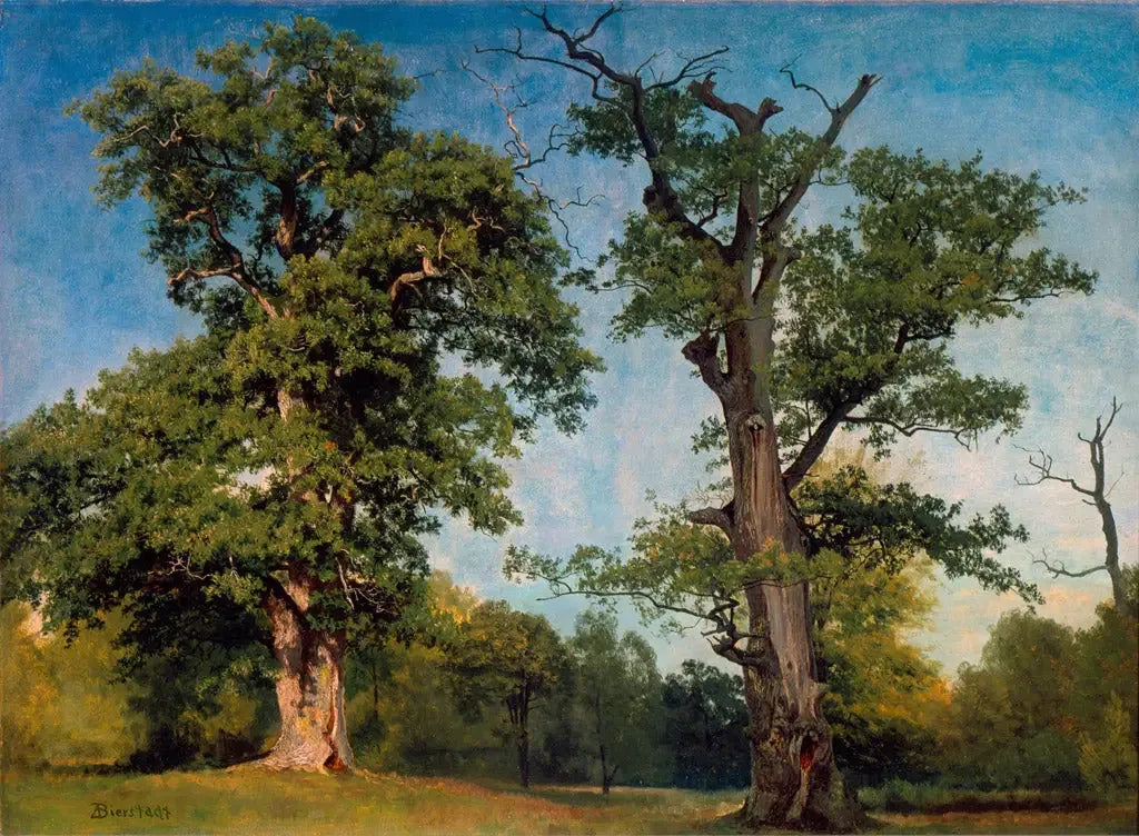 Pionniers des bois, Californie - Albert Bierstadt image 1 reproduction artisanale de tableau