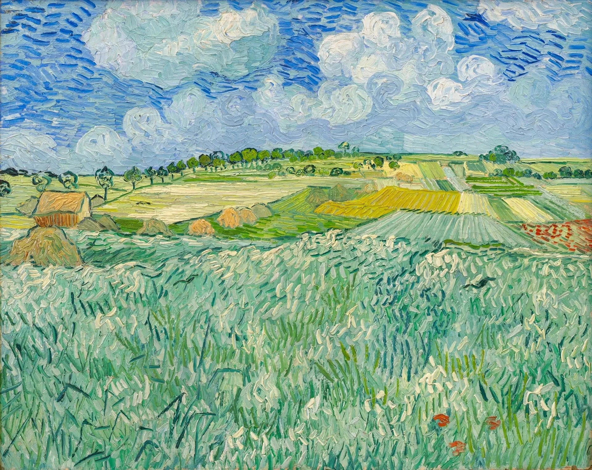Plaine près d’Auvers de Vincent van Gogh, Neue Pinakothek, 9584