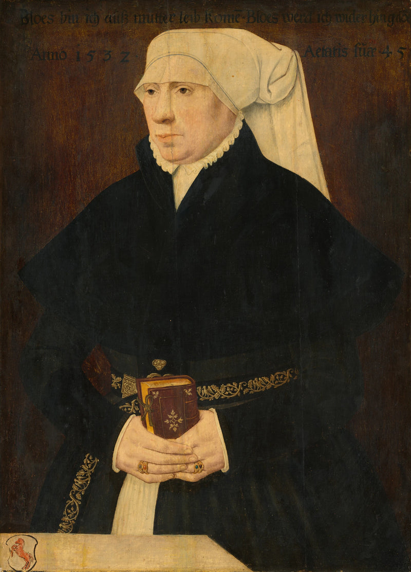 Portrait d'une dame - German 16th Century