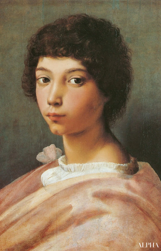 Portrait d'un jeune homme - Raphaël (peintre) - Reproductions de tableaux et peintures haut de gamme