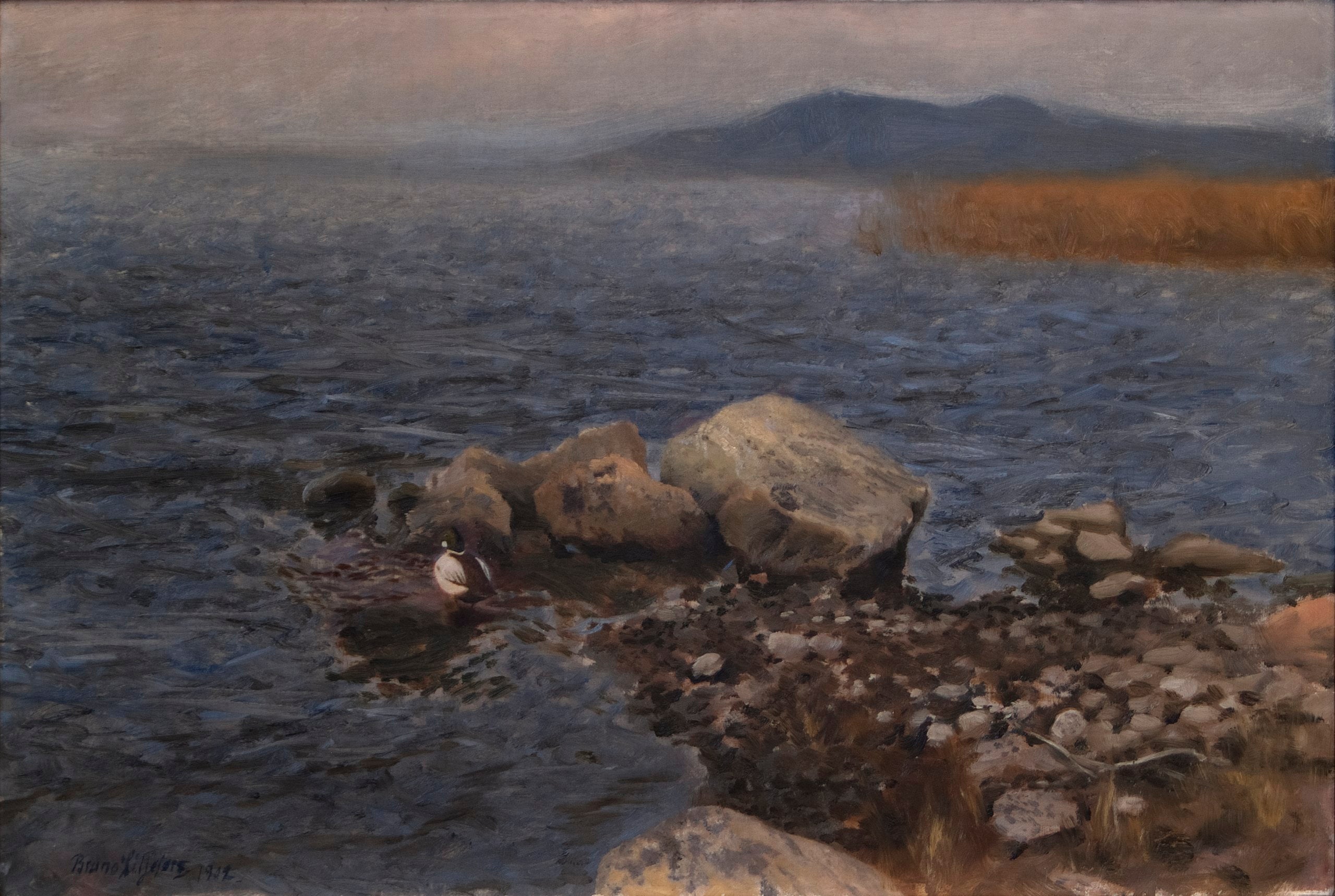 Promontoire rocheux - Bruno Liljefors