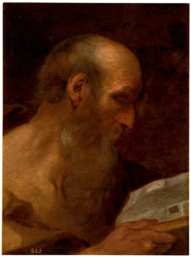 Q59519190 - أندريا ساكي