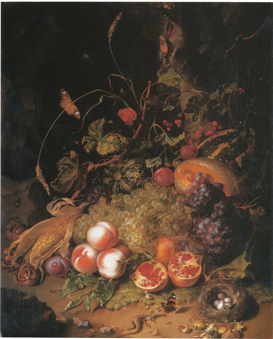 Nature morte aux fruits, nid et lézard - Rachel Ruysch