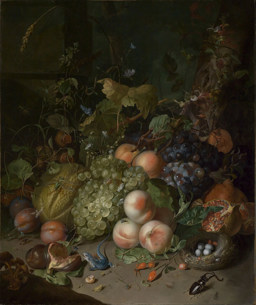 Nature morte aux fruits avec lucane et nid - Rachel Ruysch