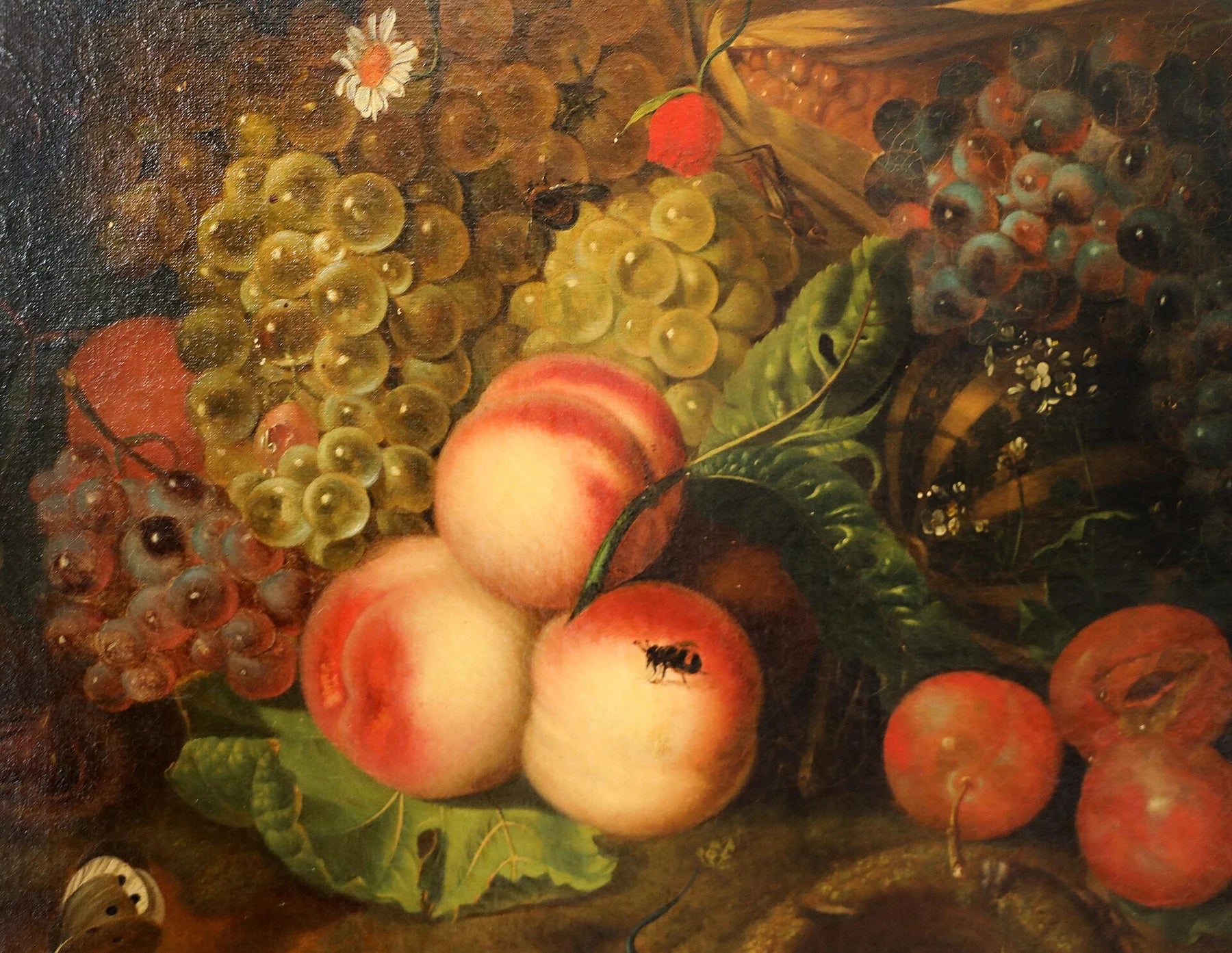 Raisins et pêches — Florence, peinture de Rachel Ruysch
