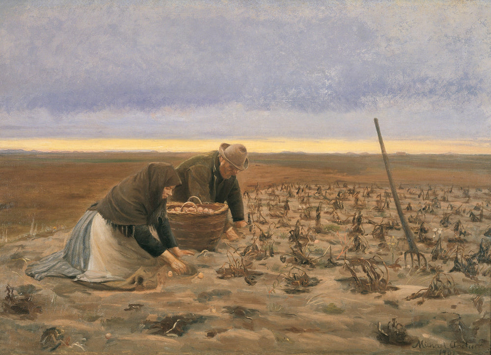 Récolte de pommes de terre - Michael Peter Ancher - Alpha Reproduction