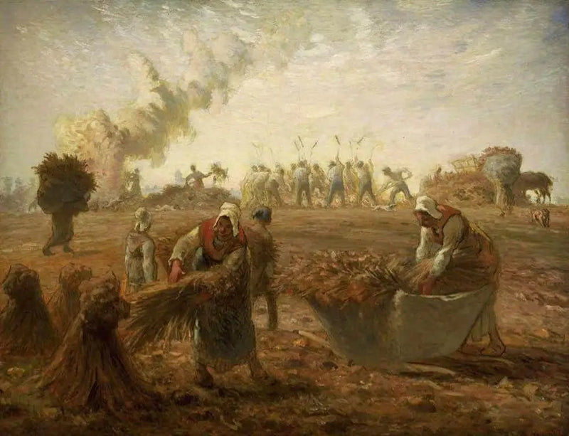 حصاد الحنطة السوداء، الصيف - جان فرانسوا ميلي