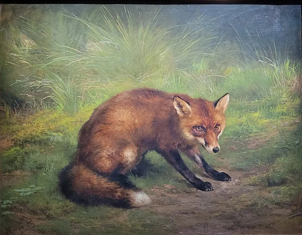 Étude de renard, peinture de Rosa Bonheur