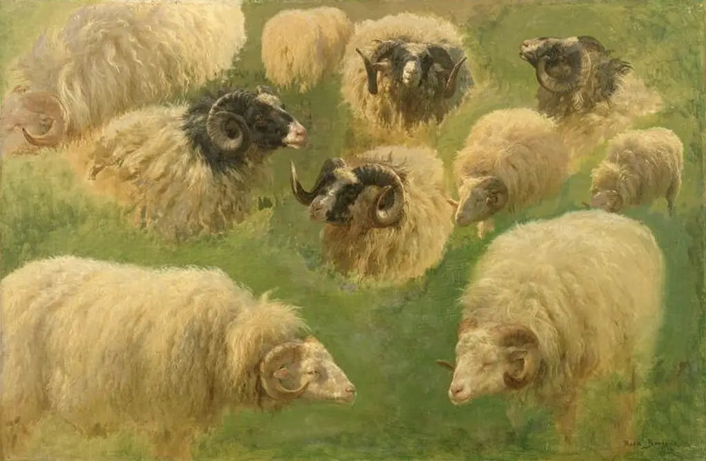 Dix études de bélier, peinture de Rosa Bonheur