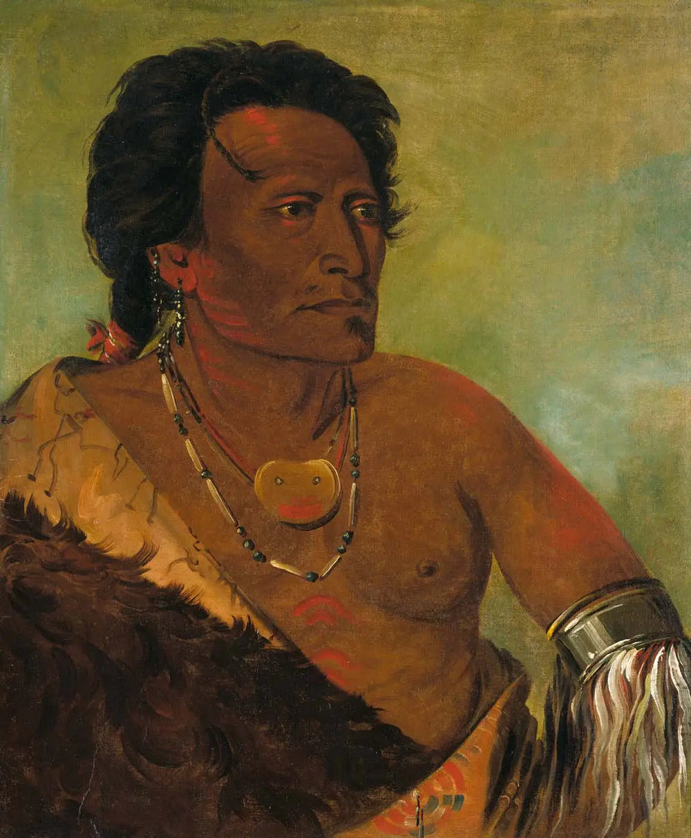 Sky-se-ró-ka, deuxième chef de la tribu - George Catlin image 1 copie de tableau peinte à la main