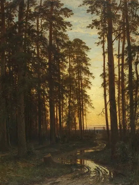 Soirée dans une forêt de pins - Ivan Chichkine - Alpha Reproduction